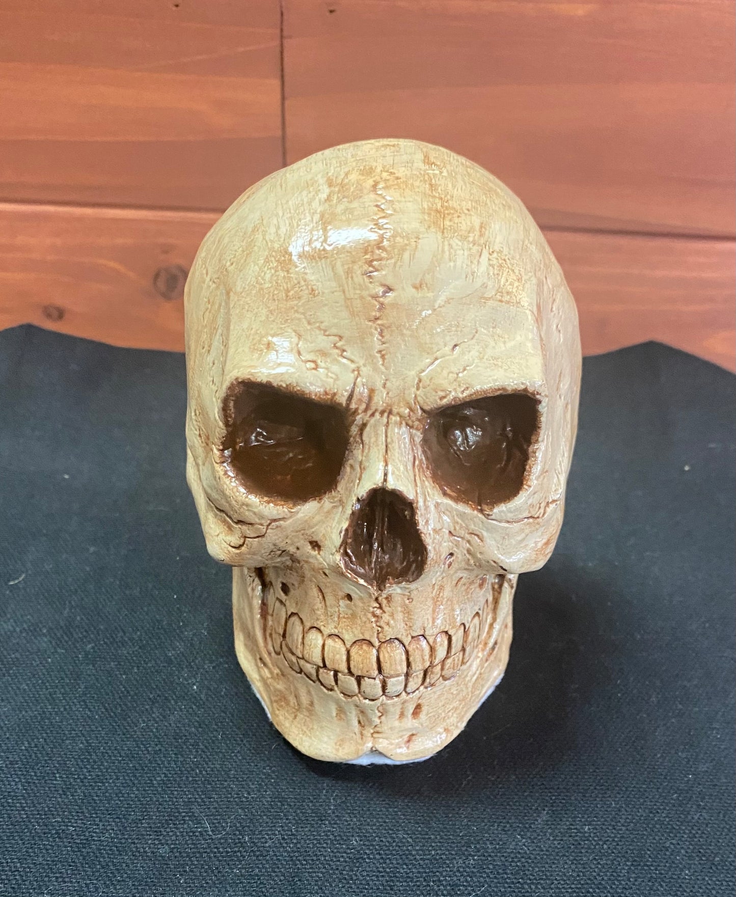 Handmade ceramic skull