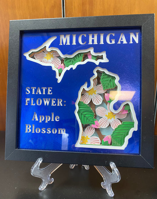 3D Layered Paper Shadow Box(multiple designs available)