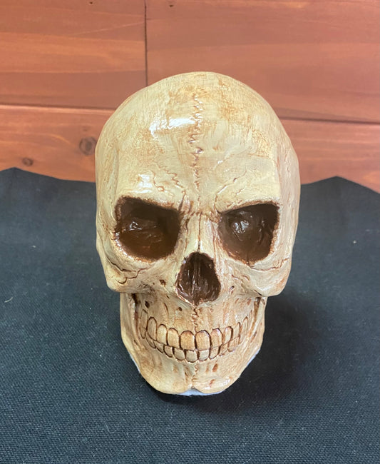 Handmade ceramic skull